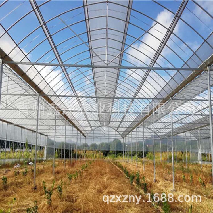 北方薄膜温室建设 热镀锌钢管连栋薄膜温室大棚厂家加工