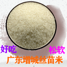 广州增城特产5斤10斤装正宗新米细长优质一级大米煲仔饭丝苗香米