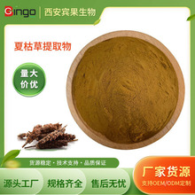 厂家供应夏枯草提取物比例提取物浓缩粉夏枯草粉植物萃取原料批发