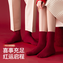 2026�R���p���H������m��t�m����Ů�ﶬ���m�T���m�I���l