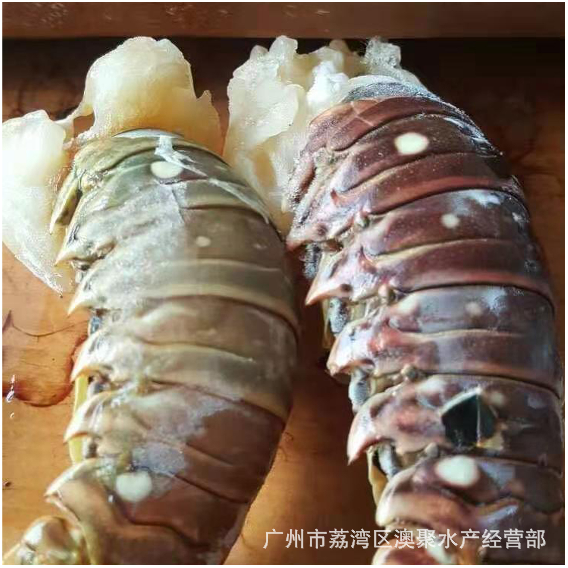 活冻小青龙 蓝龙 红龙 澳洲龙虾 古巴龙虾 餐饮食材原产地直供-阿里巴巴