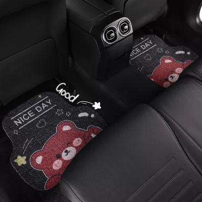 the Car Interior, Avtomobil döşəmə paspasları