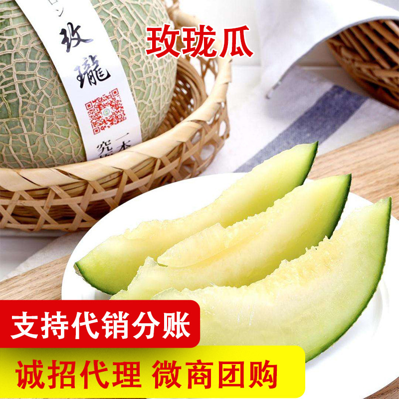 Hainan Meilong Melon Netted Melon 4.5kg Fresh Fruit Seasonal Linglong Ice Cream Milky Meilong Melon