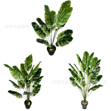 �S��ֱ�N�Ž��~�Ꭷ�����ֲ��Gֲ���Կ͏d�Ҿ��b[�������滨