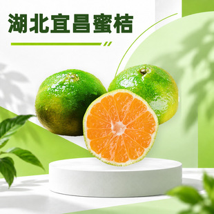 �����˲��۽� ���l���l3/9��70-75mm��������ʳ���r�aƷ���rˮ��
