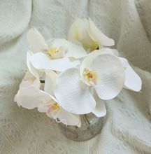 意菲手感單頭白色蝴蝶蘭花客廳蘭花假花擺件餐桌裝飾花配材