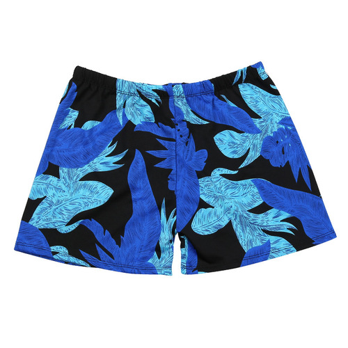 Men's Swim Trunks Anti-Embarrassment Plus Size Fat Speed Dry Printed Loose Hot Spring Vacation Straight Leg Swim Trunks Wholesale