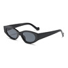 Trend sunglasses, fashionable glasses, European style, Japanese and Korean, internet celebrity, cat's eye