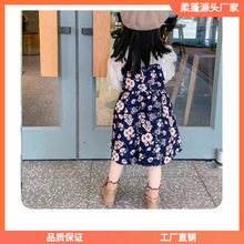 女童连衣裙加绒套装裙秋冬新款时髦儿童裙子春季韩版小女孩公潮流