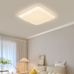 Modern Minimalist Smart Stargazer LED Flush Mount Ceiling Lamp Bedroom Lamp Eye-Caring Comfortable Study Room Balcony Entrance Corridor Lamp