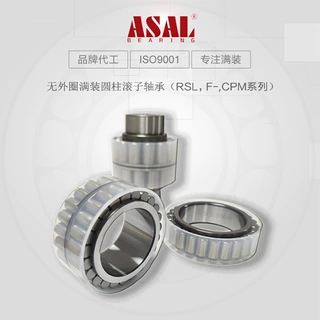 RSL182322轴承 原厂直供减速机齿轮箱卷扬机无外圈轴承