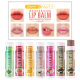 DNM variety of fruit flavor moisturizing moisturizing base lip balm set makeup wholesale cross-border exclusive