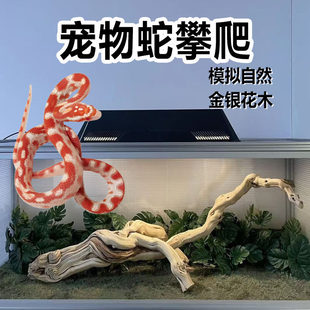 �������������y��ľ���B��ľ��B���쾰�߸��������i�����S�s��Ʒ