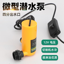 4分口潜水泵12v小型微型迷你水泵可接花洒水管自吸泵抽水洗澡水泵