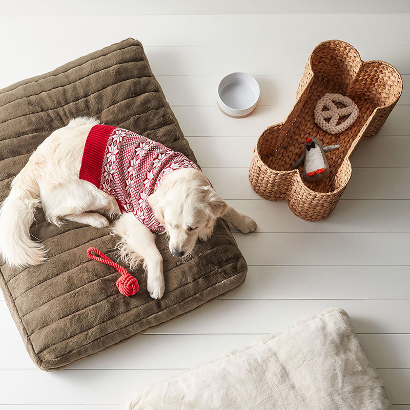 Cesta de almacenamiento en forma de hueso de perro Cesta de almacenamiento en forma de hueso de perro Cesta de almacenamiento de frutas y verduras sala de estar