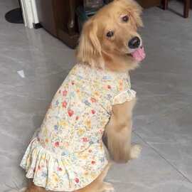 狗狗衣服碎花裙子夏季大型犬薄款透气宠物金毛拉布拉多可爱防掉毛