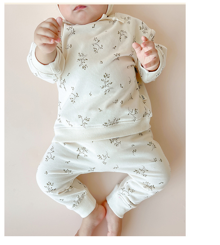 D22829 plus model_21.jpg