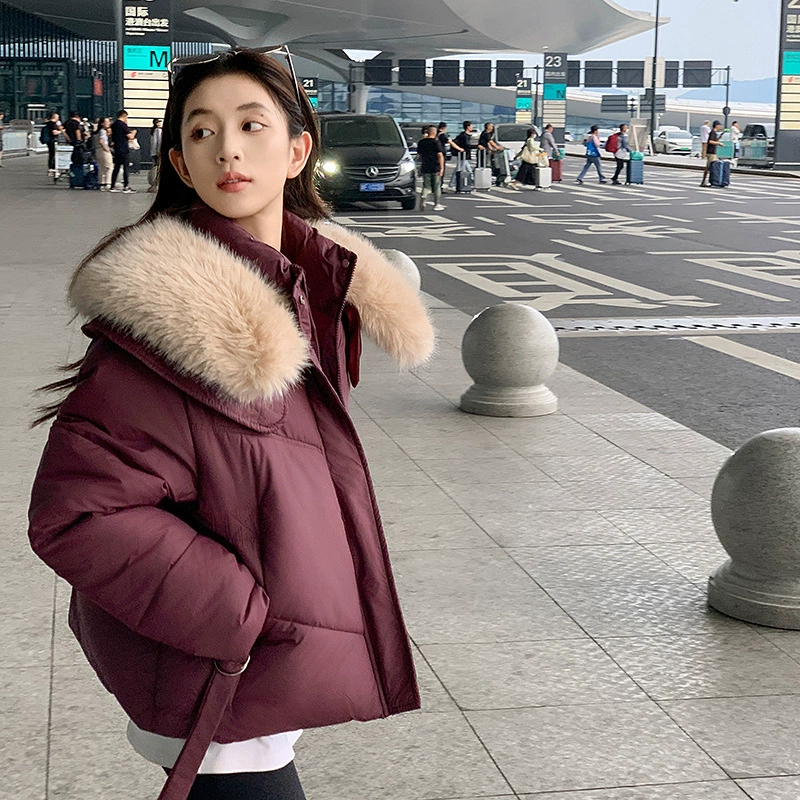 Корейский стиль 2024 новая пуховая хлопчатобумажная одежда женская короткая корейская версия большого мехового воротника хлебная одежда теплая куртка