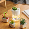 Potted Plants humidifier DIY Eco Cup Baby Mute Nightlight function Office Radiation protection Spray