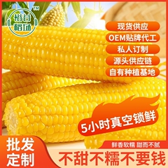 東北産 黄色もち米トウモロコシ 10本入り 200g 甘くてもちもちしたトウモロコシの棒 粘着性のあるトウモロコシ 真空包装 直送