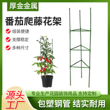 西红柿架番茄阳台种植支架黄瓜豆角爬藤架月季花植物固定架园艺