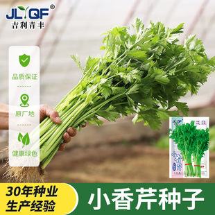 �ļ�С���۷N�ӷN���������۲˴�������������ﶬ�߲˲˷N�ѷN��