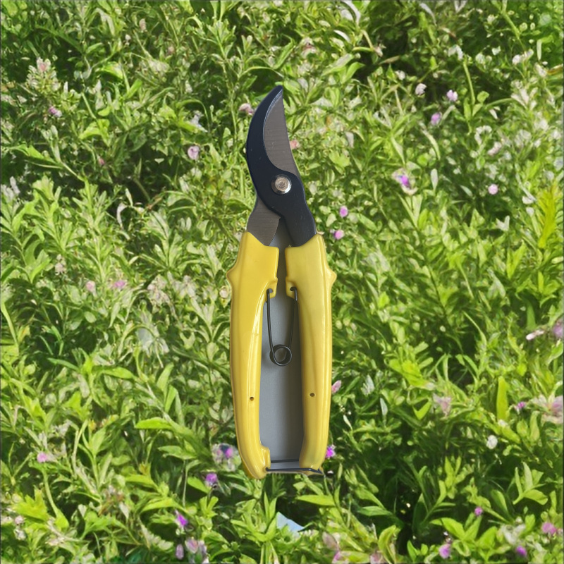 厂家直销高质量园林剪修枝剪树枝剪果枝剪摘果剪   欢迎选购