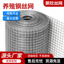 热镀锌铁丝网内外墙抹灰防鼠防蛇养鸡笼防裂阳台防护网养殖钢丝网