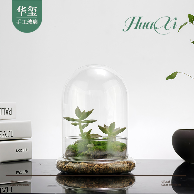 永生干花玻璃罩透明diy防尘罩微景观苔藓多肉植物闷养生态瓶跨境