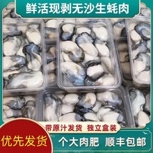 新鲜生蚝肉鲜活现剥去壳特大海蛎子即食牡蛎肉500g火锅烧烤海鲜