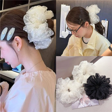 �n���|���T�W��ͬ��߼��в��c�W�����c�lȦ�����^���Rβ�lȦ�l�