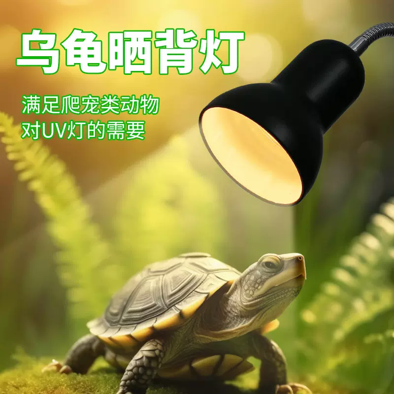 乌龟晒背灯聚热灯罩uva晒背灯uvb陶瓷灯罩宠物保温补钙夹子灯