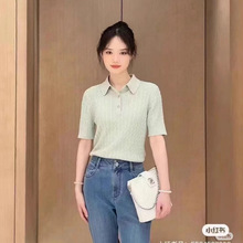 2025春季新款通勤简约POLO领修身针织衫上衣女轻奢高级感麻花纹理