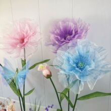 ��ș�������;W�tĵ��������z�W��ˇ��ꐙ����bٻ�ˇ�[��