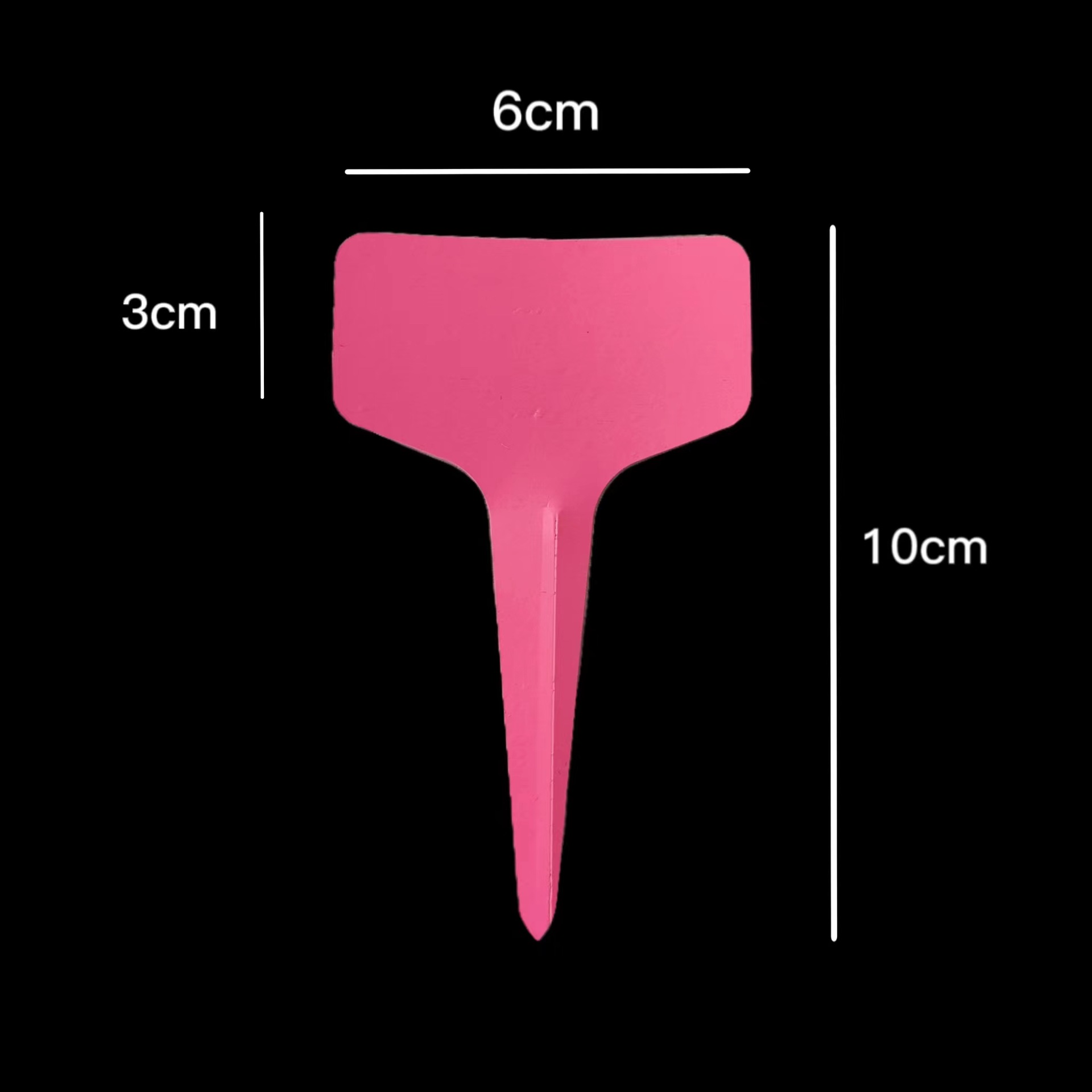 微信图片_20240725144823