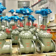 Z94H1-25C-DN500 һwT늄ӷmly ˮùܵ ly