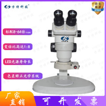 �����wʽ�@΢�R ���I����8-64�B�m׃�������R �wҕ���w���w�Ŵ��R