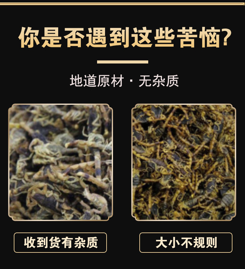 Clear Water Whole Scorpion Quan Xie 全蝎 Dried Whole Scorpion 100g Traditional Chinese Herb quality and texture