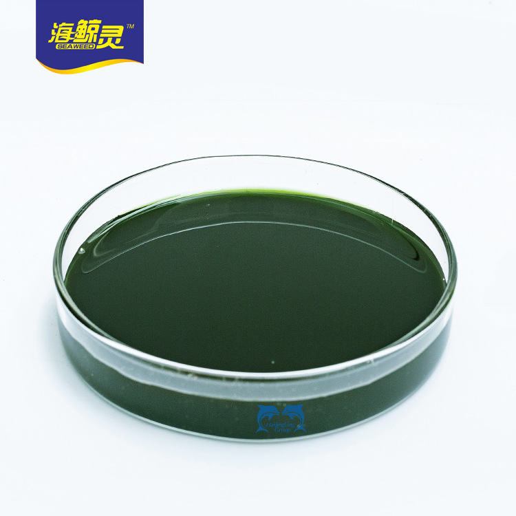 【厂家直供】生物酶解纯泡叶藻 海藻酸 原液
