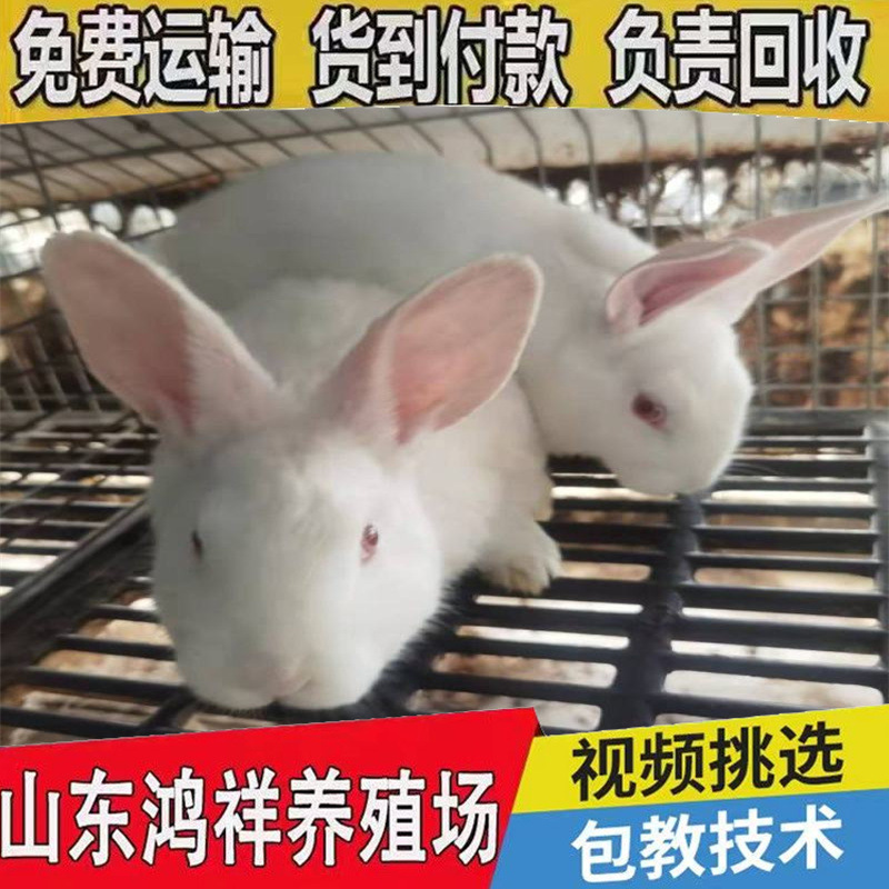 6208f566b827730a8831d11e028003