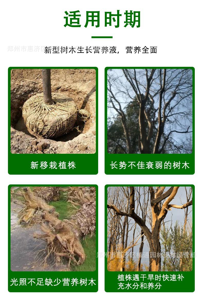 D-_9月份_9月17日树挪活树干吊针液_详情_07