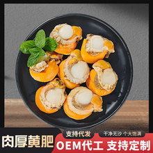 �S�����l�����ؐ�⎧�S����ؐ�r�����r��̖���������rˮ�a���l