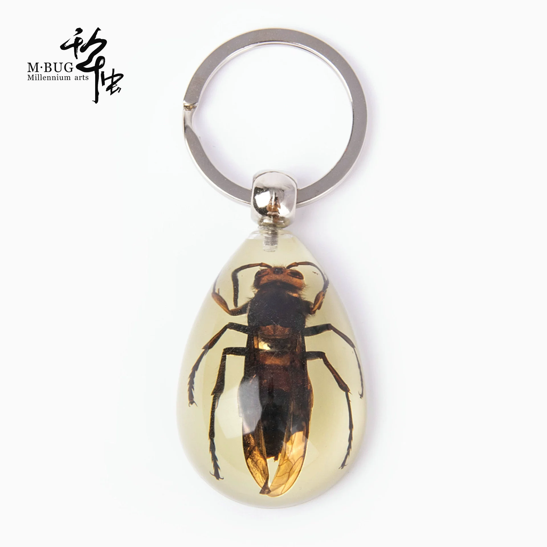 П Millennium Bug Highly Transparent Resin Glue Luminous Scorpion Scarab Hu Feng Real Insect Specimen Gift Keychain
