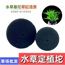 DIYˮ�ݶ�ֲ����|�I�B���Nֲ��N���w��ˮ���쾰�o���ɰˮ����