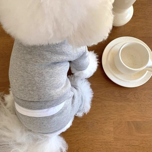 Cross-border Japanese and Korean puppy clothes casual and versatile simple four-legged sweatshirt Teddy small dog cat pet clothes