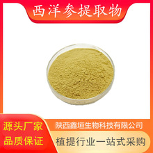 西洋参提取物10:1多规格水溶西洋参粉 高比例厂家现货西洋参皂甙