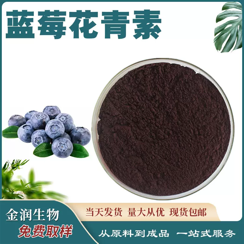 蓝莓花青素 蓝莓提取物 越橘提取物 花青素 100g/装 量大从优现货