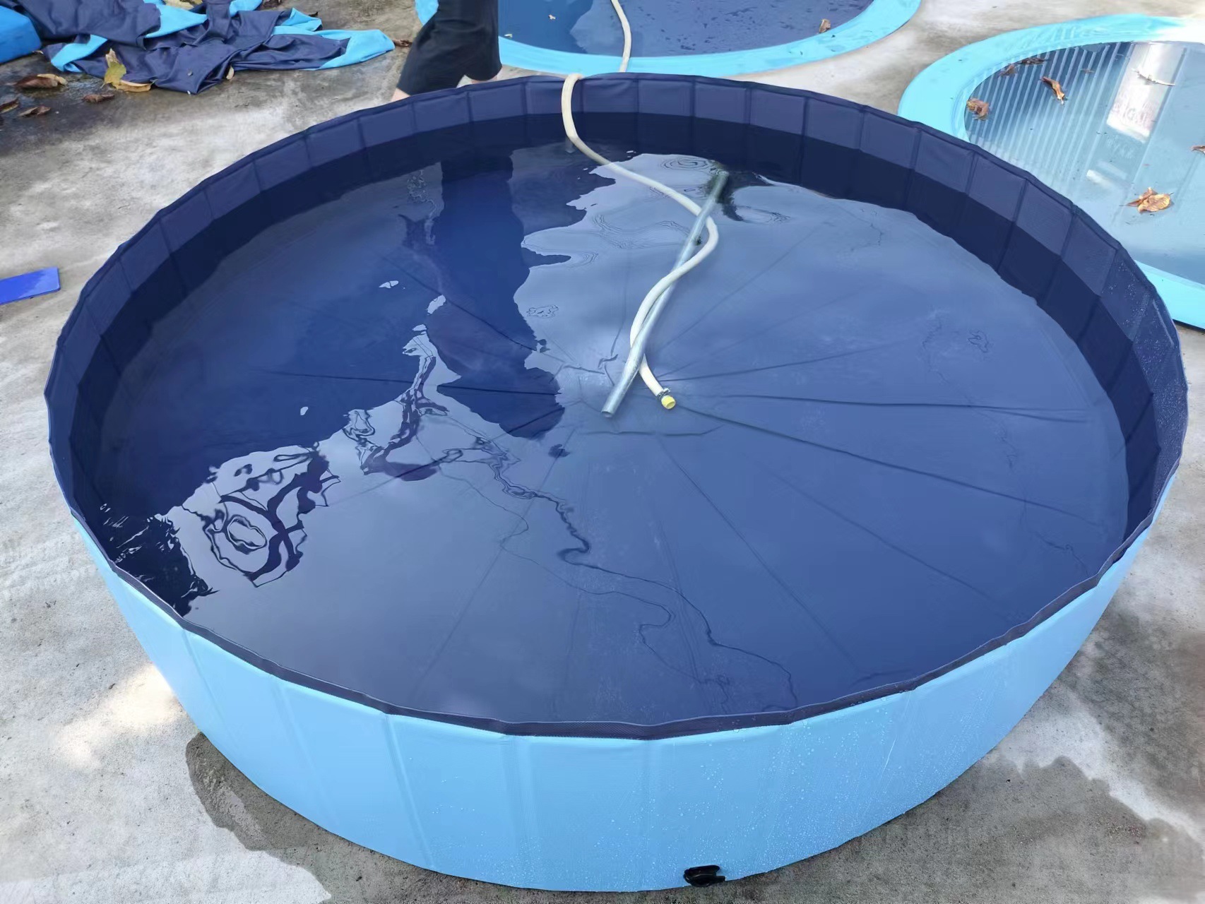 f04ed36b5b008905ececfa2af3f7e2