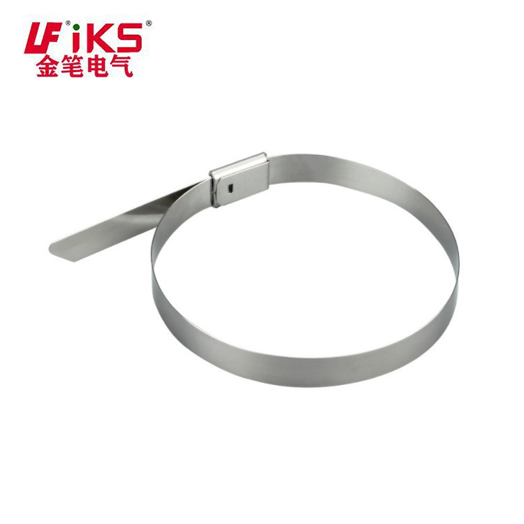 自锁式304材质10不锈钢扎带户外耐高温白钢扎带防腐金属  金笔