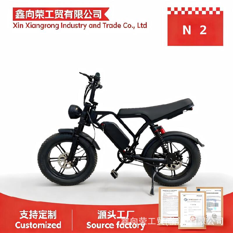 20inch Fat Tire Snow Electric Bicycle with Variable Speed, Folding, Power-Assisted, Beach Lithium Battery Mountain Bike, Direct from Factory